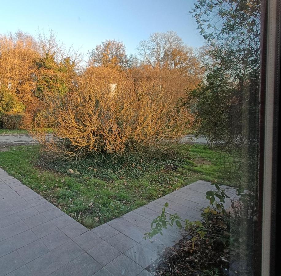 Domaine Minio Bihan Pluvigner Zewnętrze zdjęcie